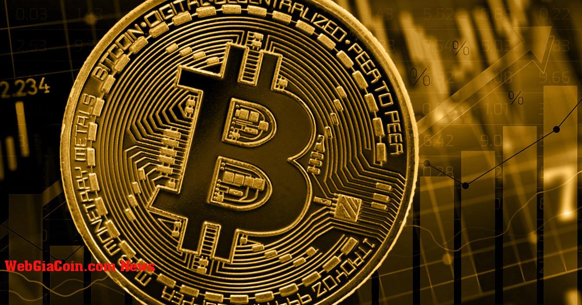 Nền tảng giao dịch bitcoin tăng giá nhanh chóng lên mức cao nhất trong 43 tháng