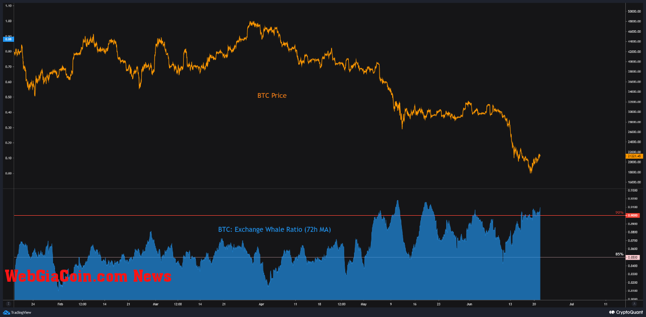 Bitcoin Exchange Whale Ratio