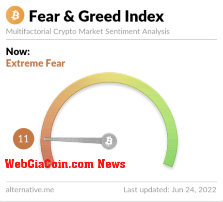 Crypto Fear & Greed Index