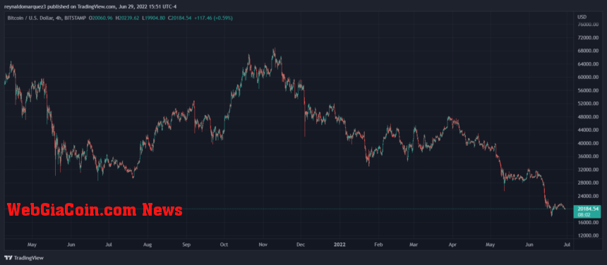 Bitcoin BTC BTCUSD