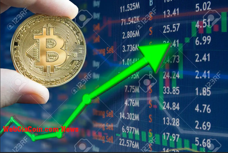 Bitcoin (BTC) tăng trở lại mức 20.000 đô la, Lần đầu tiên sau 5 ngày