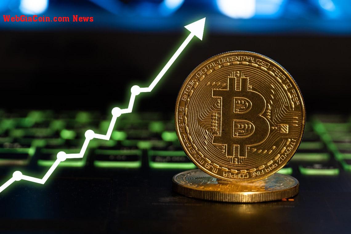 Tỷ lệ tài trợ của Bitcoin đang tăng khi giá tiếp tục gặp khó khăn