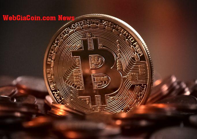 Bitcoin giảm xuống dưới 22.000 đô la, phân tích của Peter Brandt có còn trong Play?