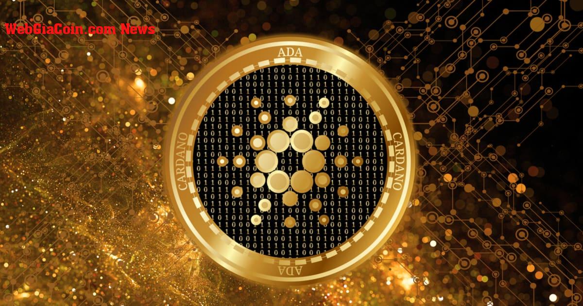 Tại sao Peter Brandt cho rằng Cardano là định nghĩa của xấu xí