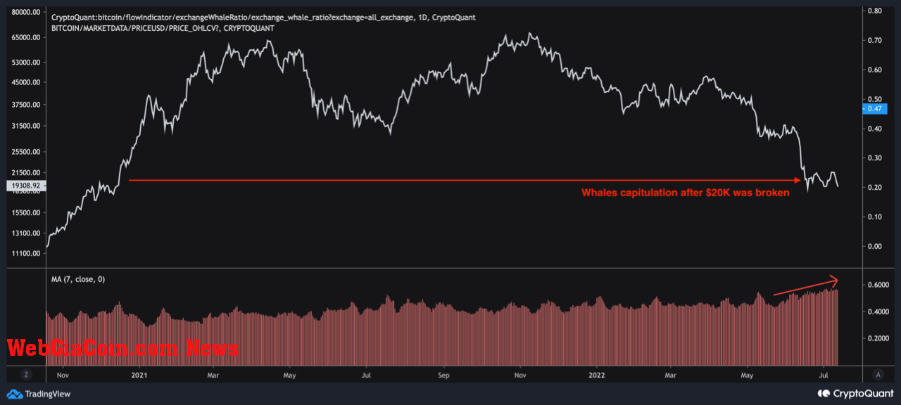 Bitcoin Exchange Whale Ratio