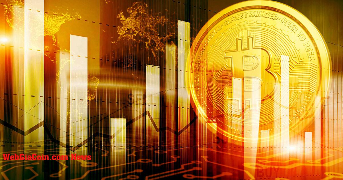 Các máy khai thác bitcoin vẫn chịu áp lực bán nhưng chi phí sản xuất giảm giúp giảm bớt