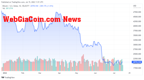 BTCUSD price chart for 07/15/2022 - TradingView