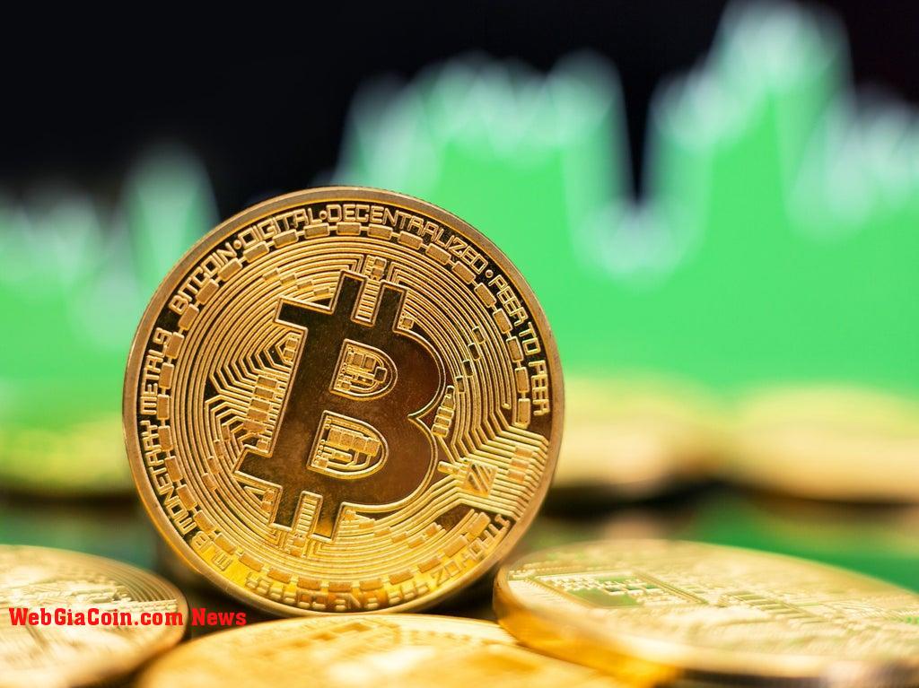 Bitcoin tăng giá khi các altcoin chuyển sang màu xanh lá cây, đẩy Thị trường lên trên $ 1 nghìn tỷ đô la Mỹ