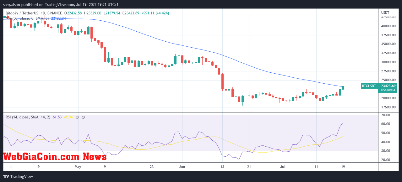 Bitcoin daily chart