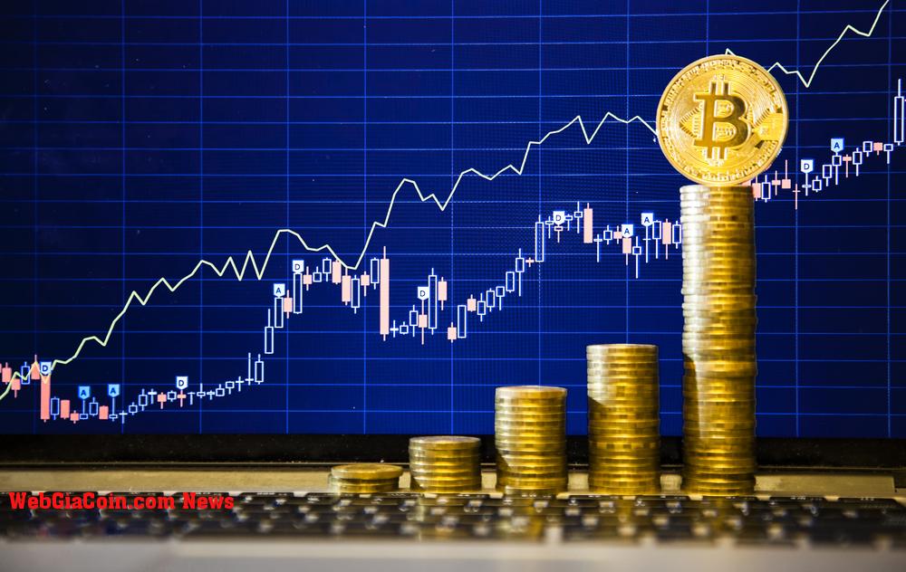 Bitcoin tăng trên 24.000 đô la khi Chỉ số cho thấy Các nhà đầu tư đang tập trung vào một sự đột phá