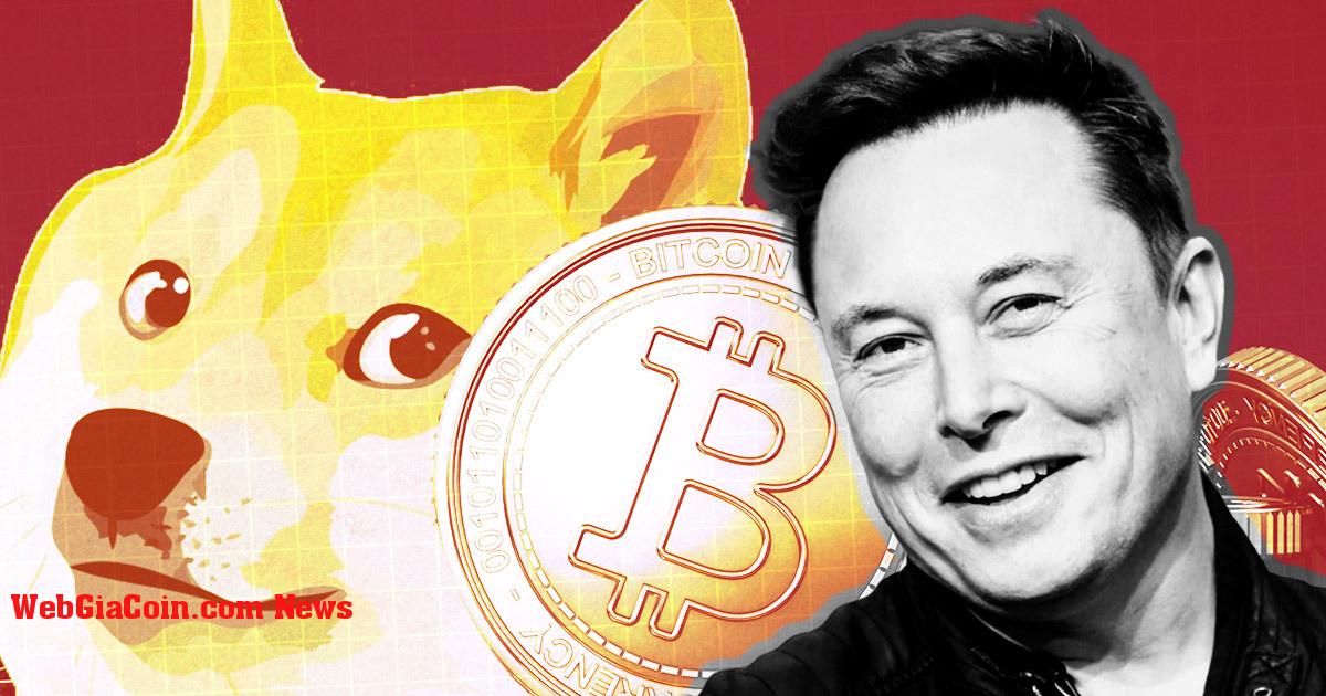 Tesla hòa vốn khi bán Bitcoin, Musk xác nhận không có Dogecoin nào được bán