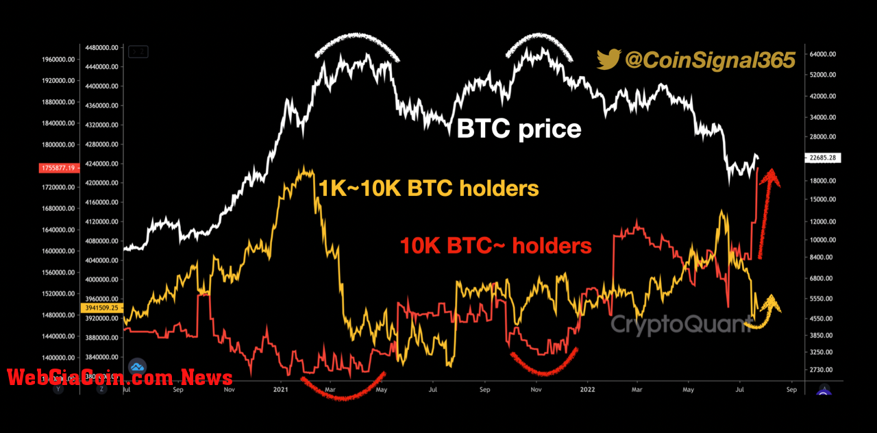 Bitcoin Whales With 10k BTC