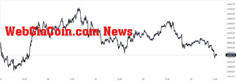 Bitcoin Price Chart