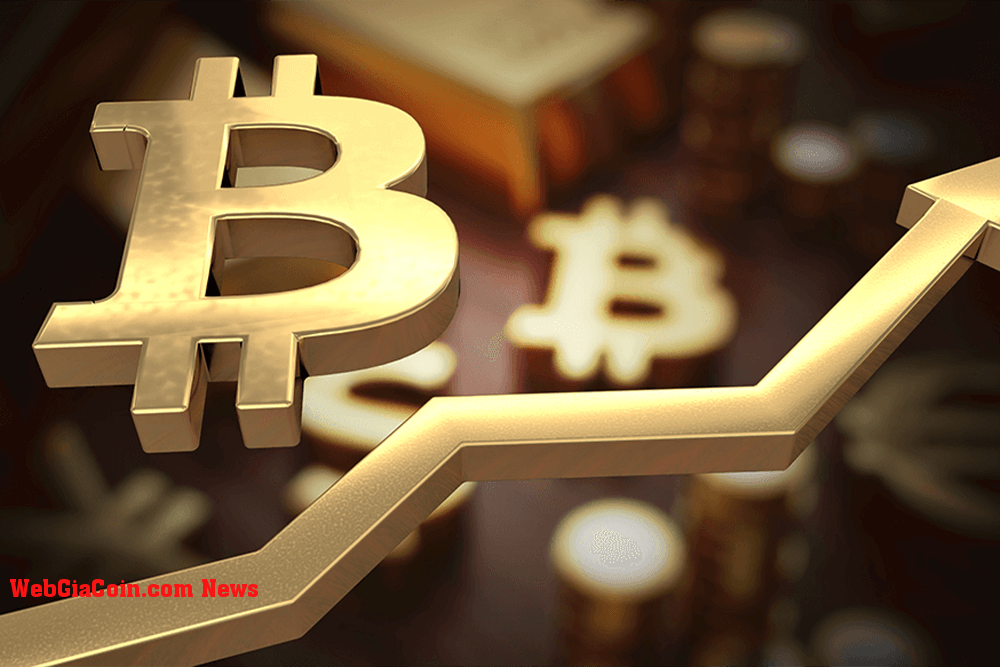 Mức thấp cao hơn có phải là Dấu hiệu tăng trưởng của Bitcoin?