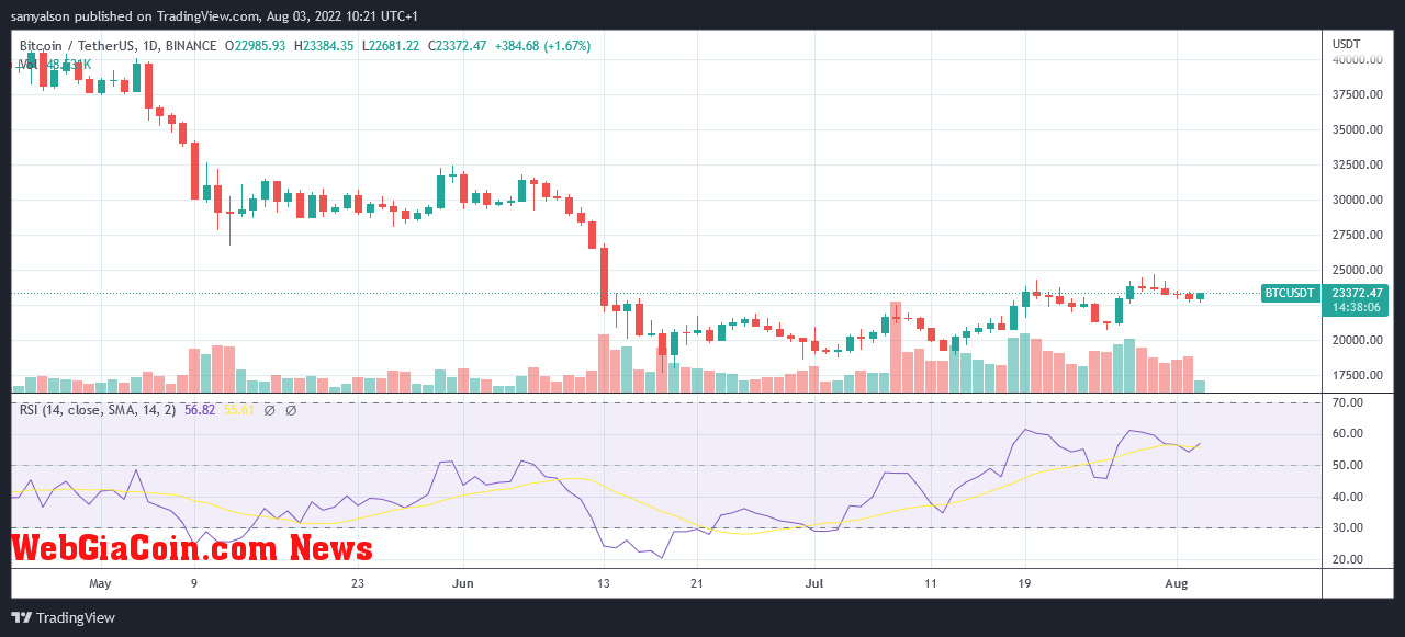 Bitcoin daily chart