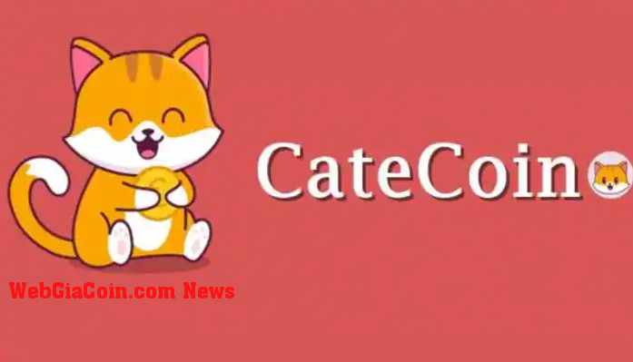 Meme Coin CateCoin âm thầm tăng giá hơn 250% - Đã đến lúc mua CATE?