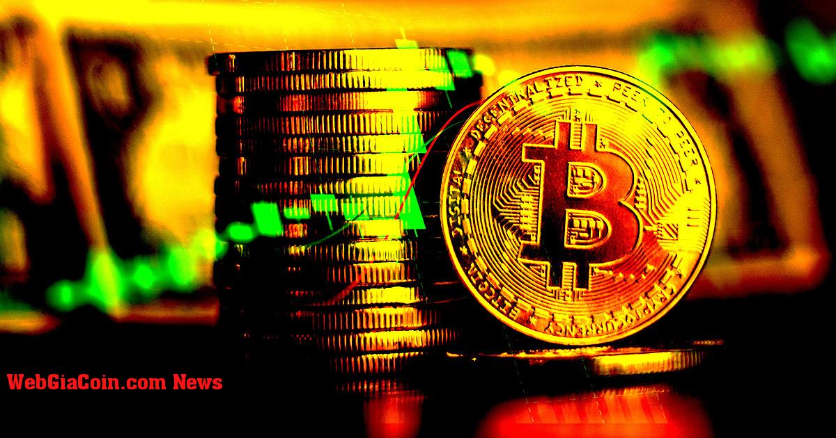 Các nhà đầu tư bán lẻ chịu trách nhiệm về việc Bitcoin chạy tốt nhất kể từ tháng 10 năm 2021
