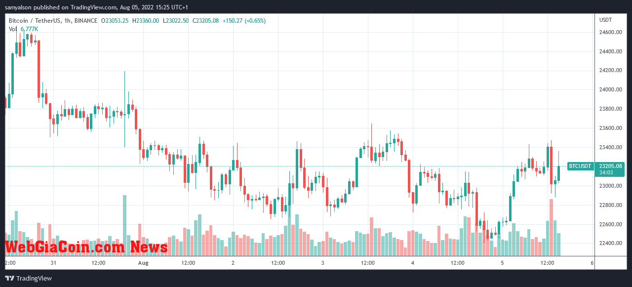 Bitcoin daily chart