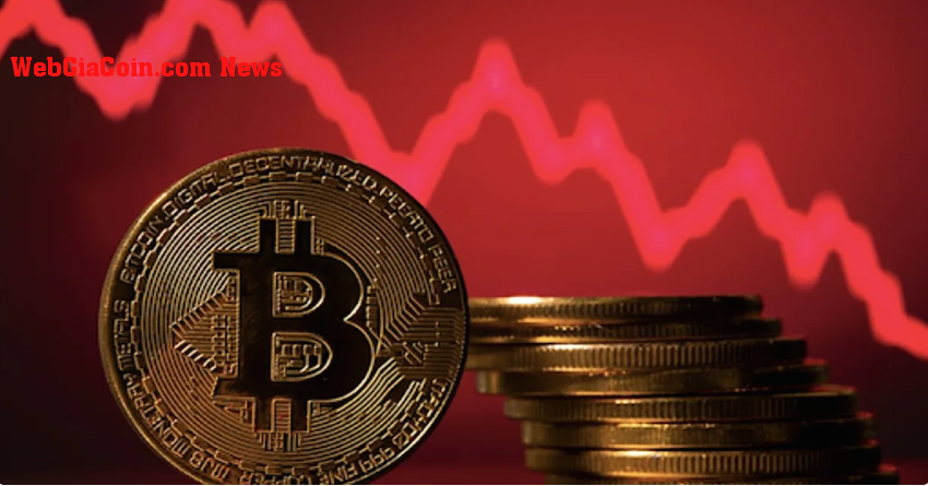 Cá voi bitcoin chuyển sang giảm giá ?, Có gì trong cửa hàng cho cuối tuần