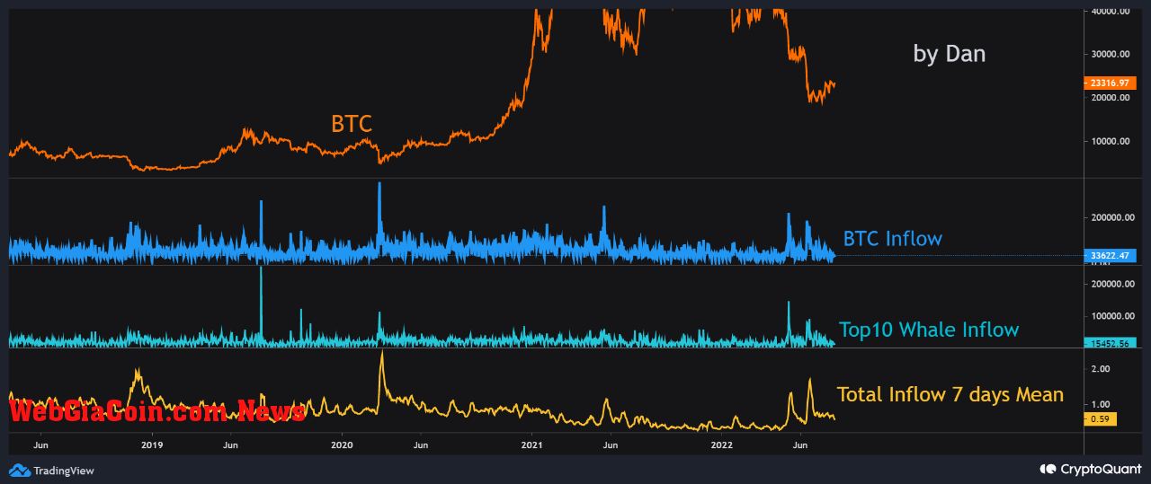 Bitcoin Exchange Whale Inflows