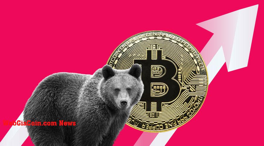 Tín hiệu giảm giá: lý do tại sao bán tháo máy khai thác Bitcoin có thể tiếp tục