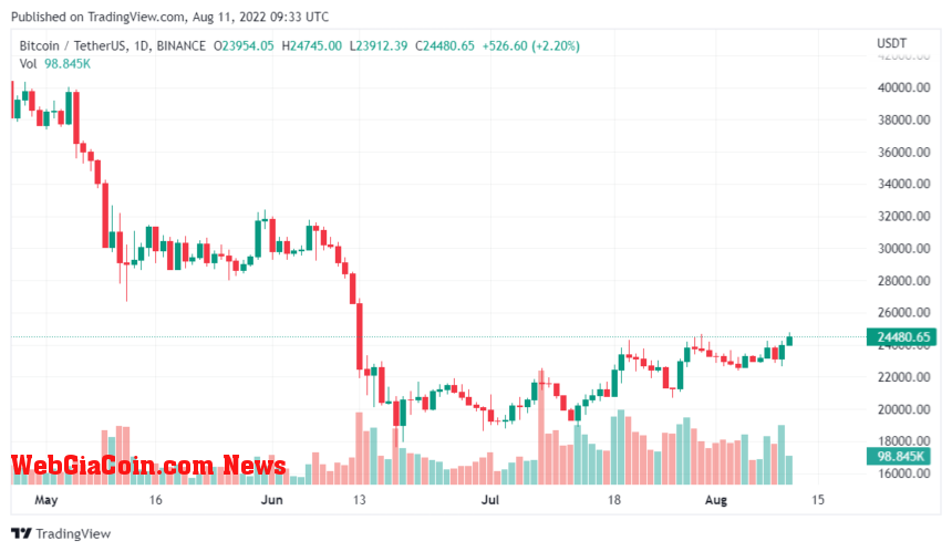 Is Bitcoin Price Hiking Due To An External Reason, What Does The Data Suggest