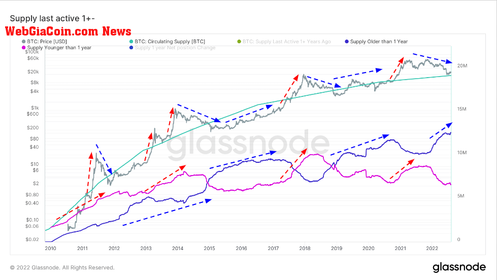 btc long term holders short term holders