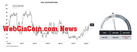 bitcoin, ethereum fear & greed index