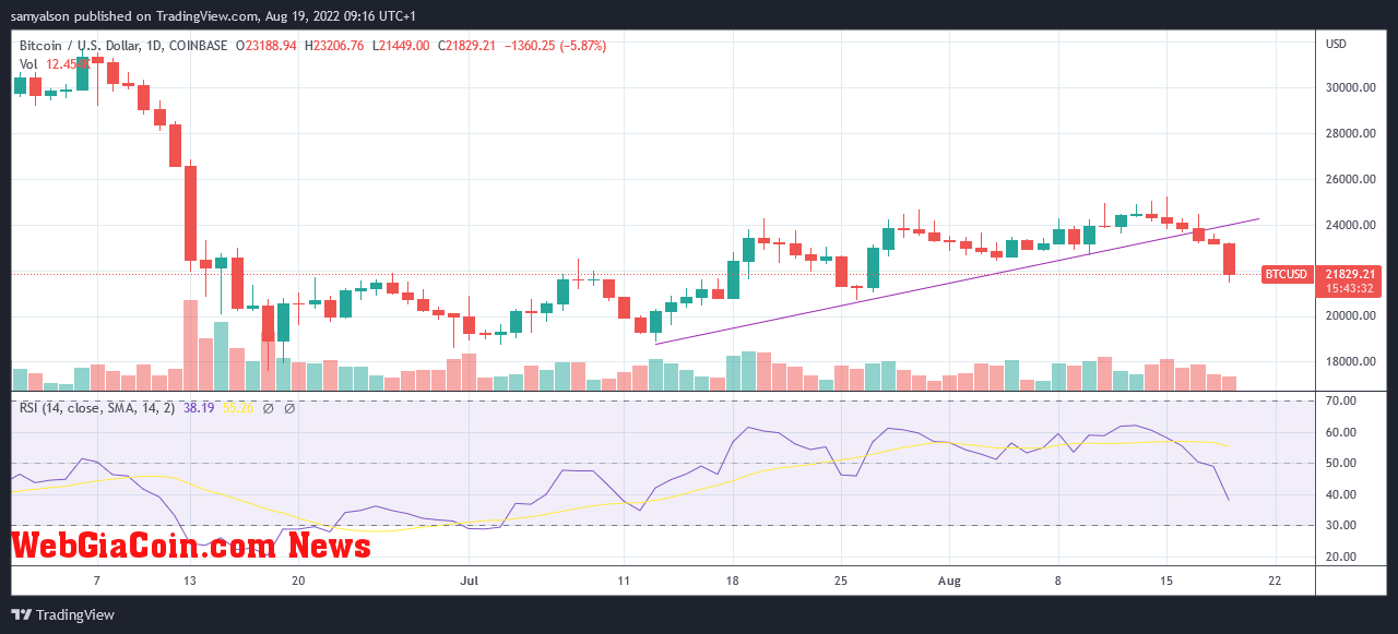 Bitcoin daily chart