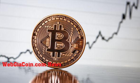 Bitcoin điều chỉnh 17%, nhưng Thị trường mong đợi báo cáo tăng giá mới cho biết