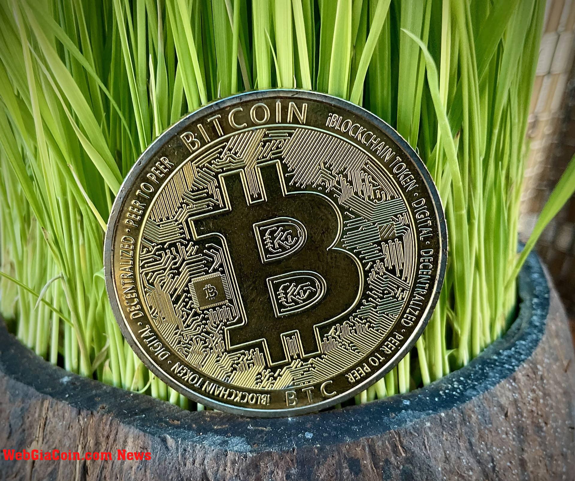 Khi nào Bitcoin sẽ trở thành một Hedge lạm phát? Scaramucci giải thích