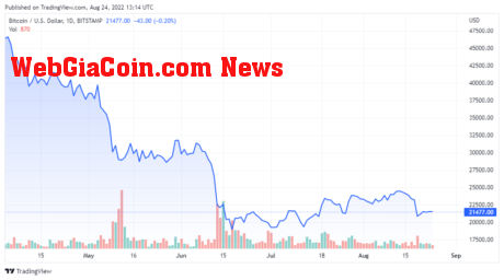 BTCUSD price chart for 08/24/2022 - TradingView