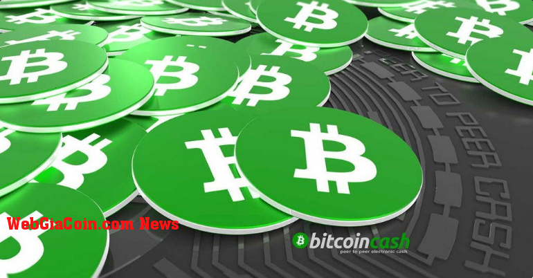 Bitcoin Cash mất 10% trong 24 giờ qua, bất chấp việc khối lượng giao dịch tăng 40%