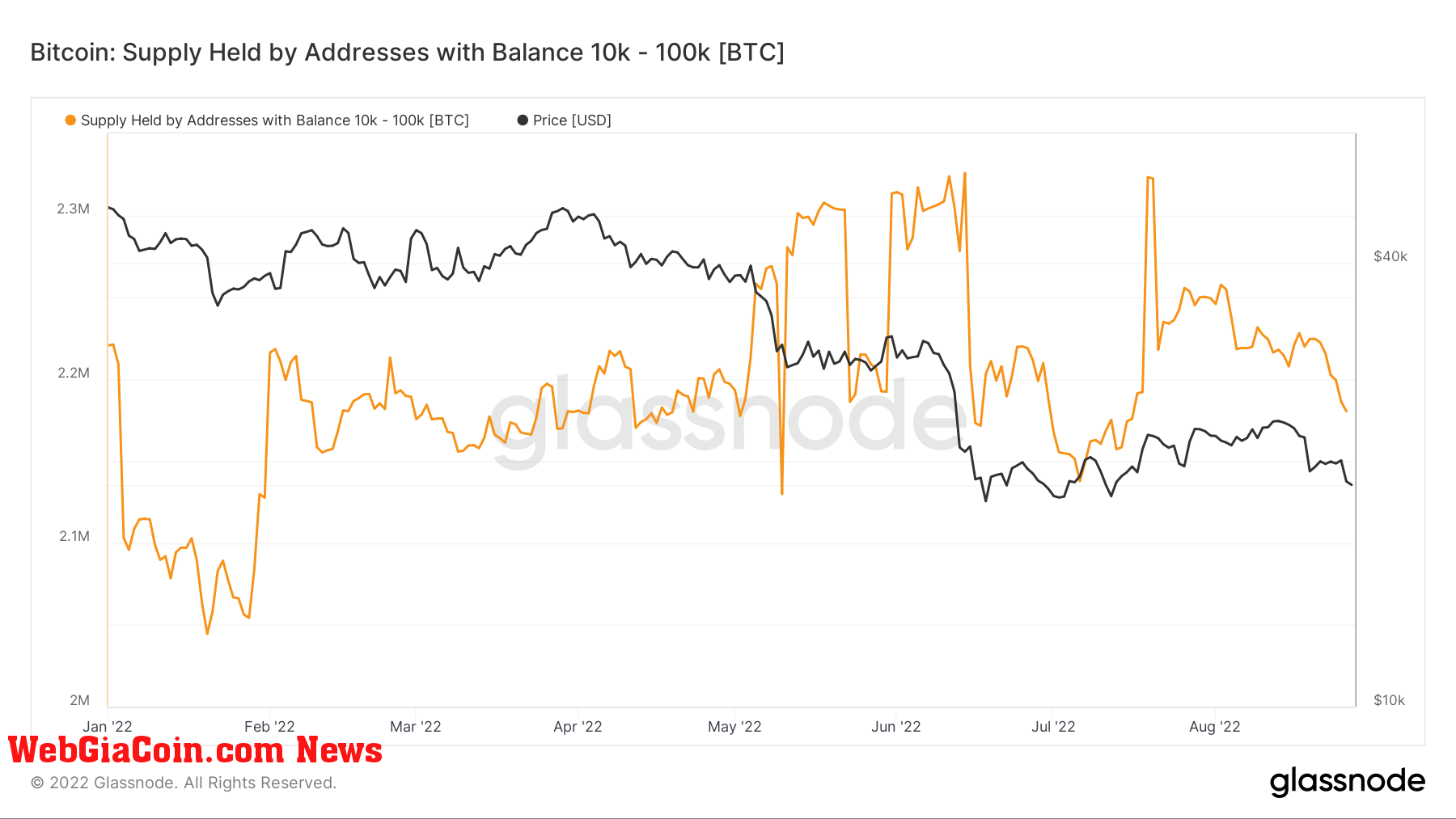 Shrimps Bitcoin accumulation slows