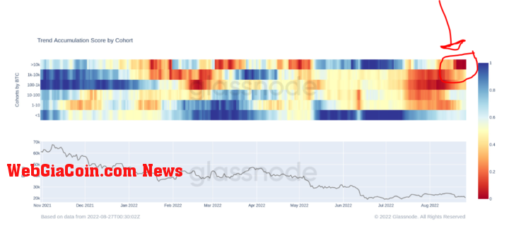 Bitcoin whales are selling their holdings (Source: Glassnode)