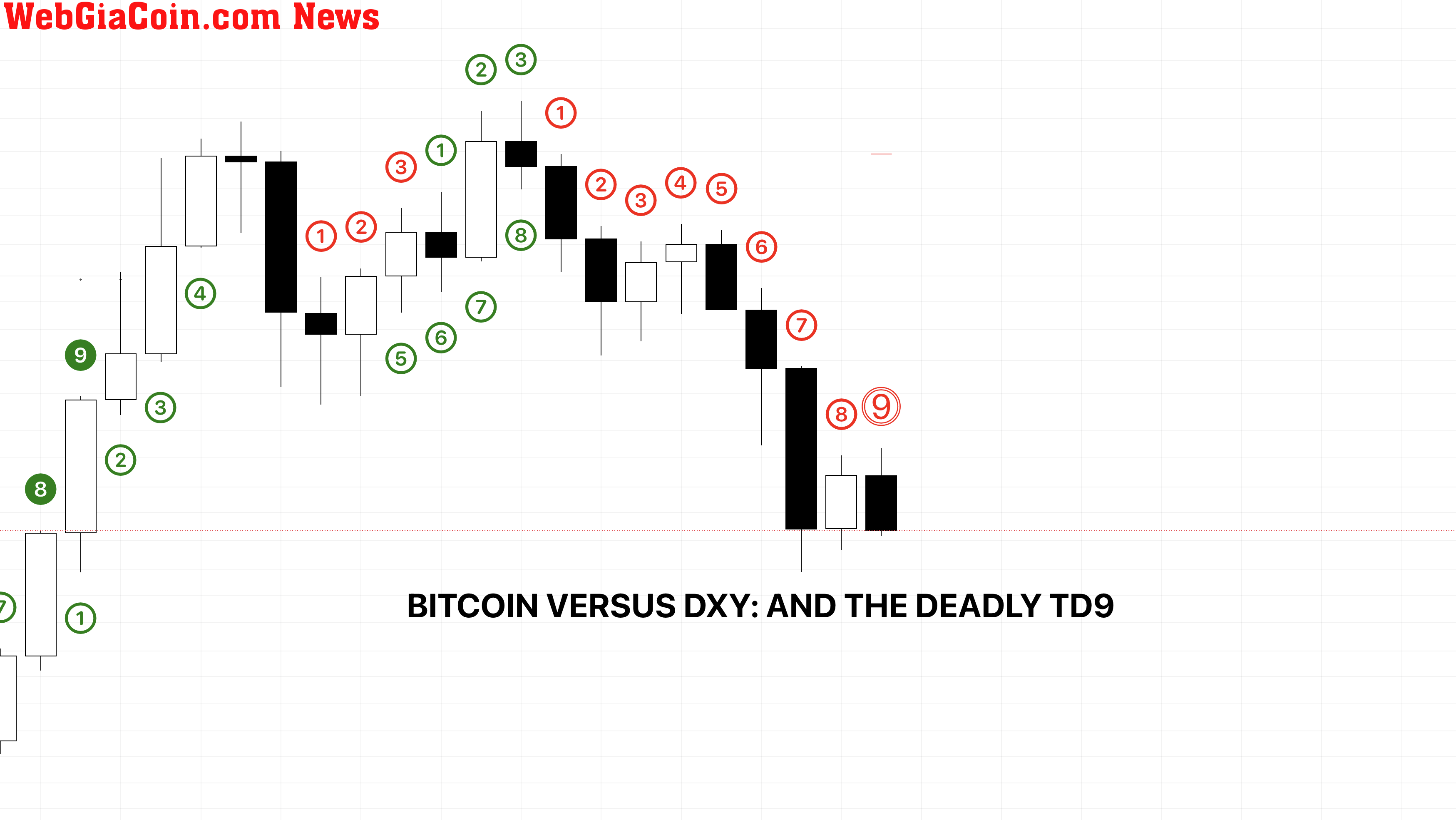 Bitcoin so với DXY và thiết lập TD9 nguy hiểm: VIDEO