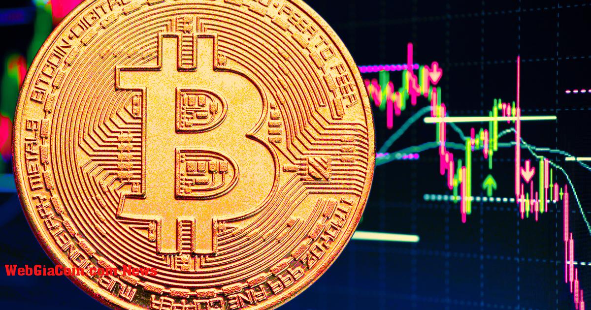 Bitcoin bán tháo dẫn đến bán tháo mua dài hạn 20 triệu đô la