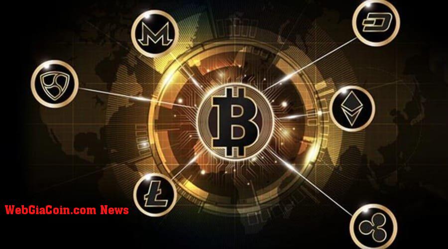 Altcoin vượt trội hơn Bitcoin trong tàu lượn siêu tốc tháng 8