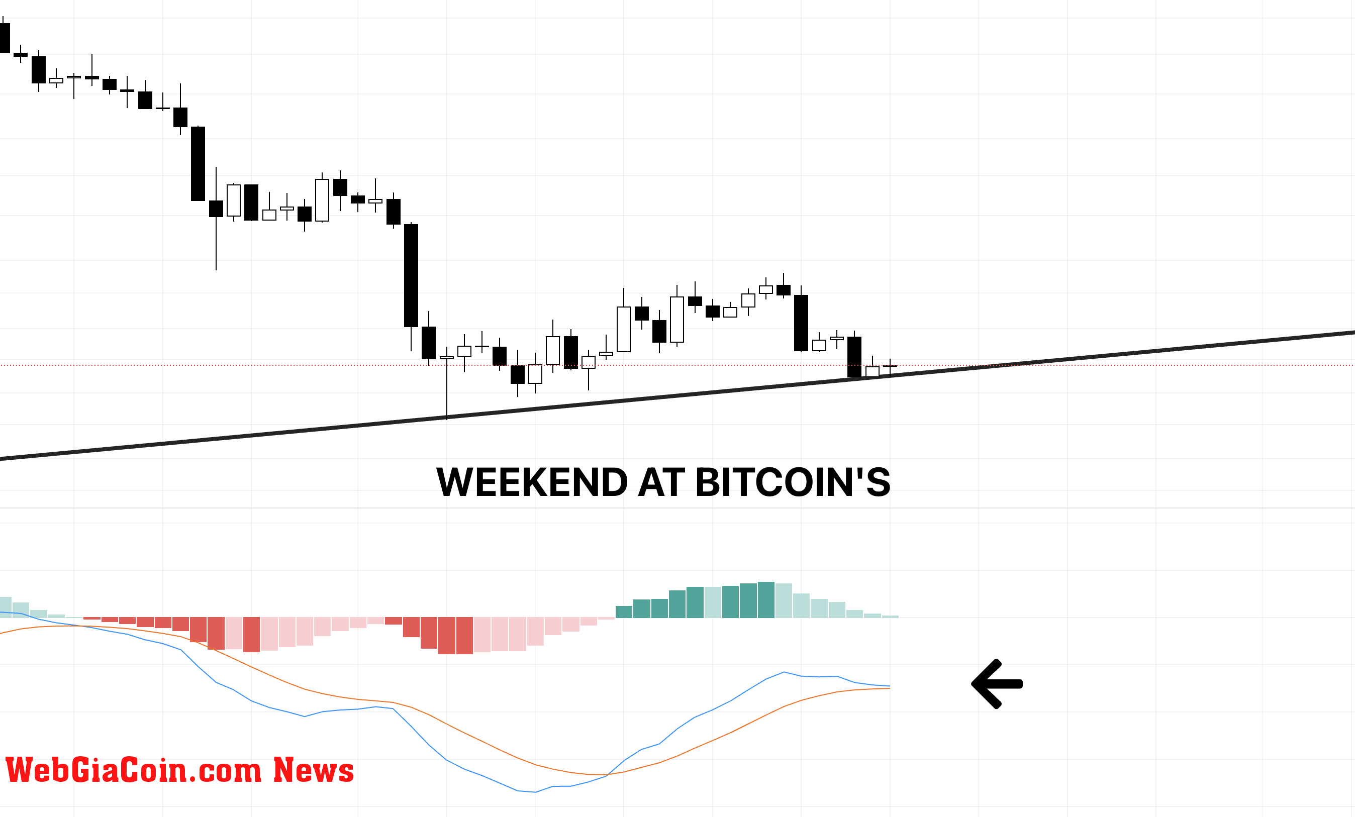 Bitcoin sẽ quay trở lại vào cuối tuần? BTCUSD ngày 2 tháng 9 năm 2022