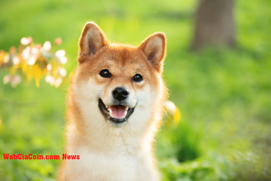 Dogecoin chậm re-test 0,06 đô la khi DOGE được nhìn thấy tăng cao hơn trong những ngày tiếp theo