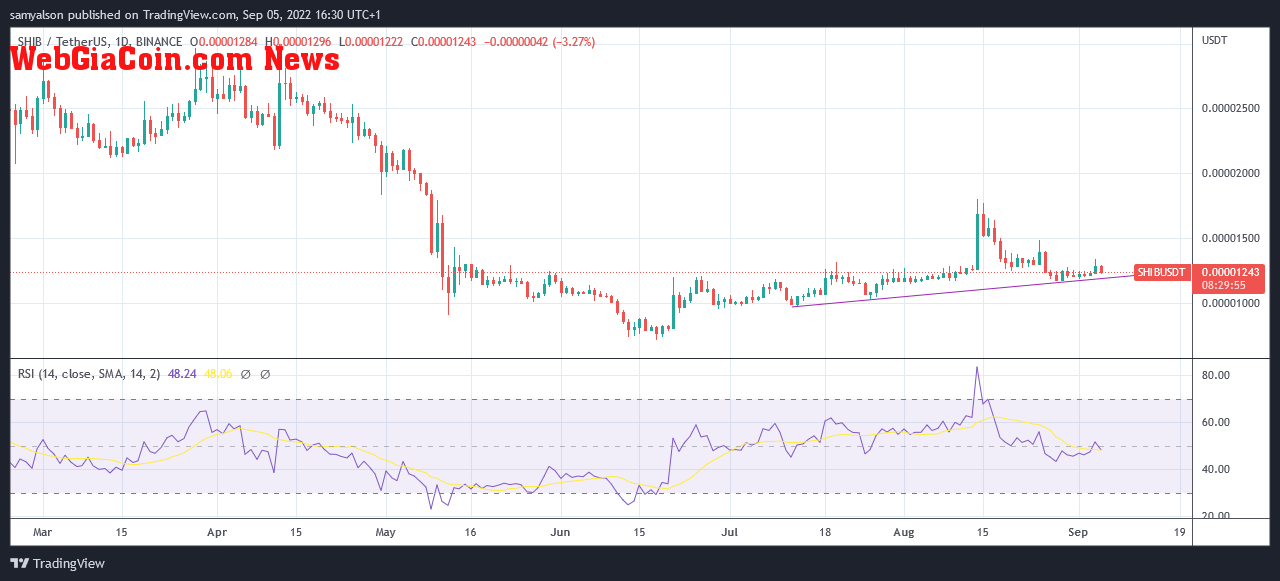 SHIBA INU daily chart