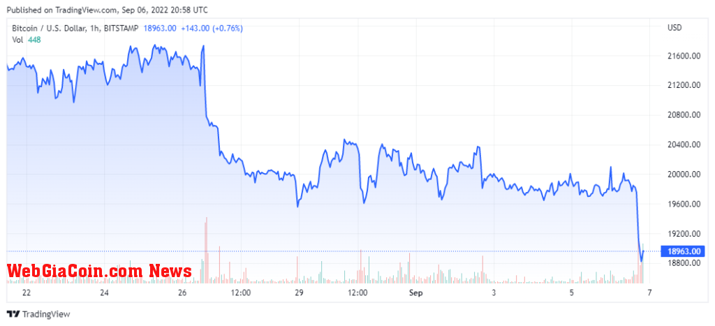 btc price