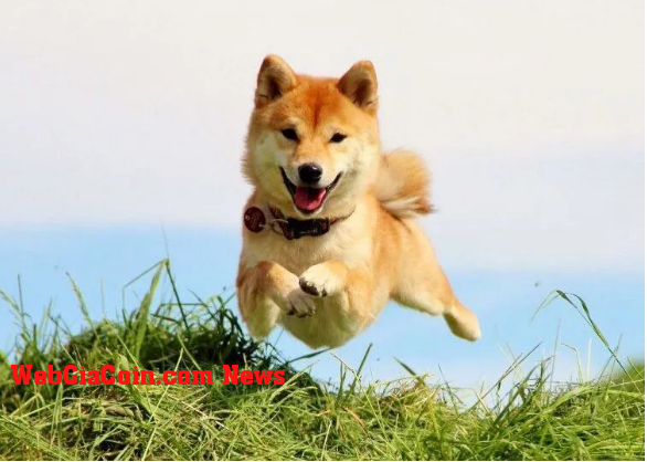 Shiba Inu được tăng giá nhanh 8% trong 7 ngày qua, khi lượt tương tác trên Truyền thông xã hội SHIB tăng vọt