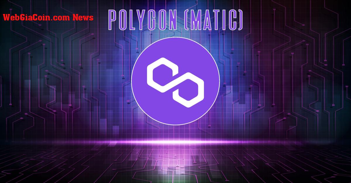 Các ngân hàng Polygon giữ loại bỏ 60.000 tấn khí thải carbon