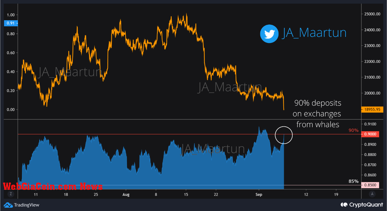 Bitcoin Exchange Whale Ratio