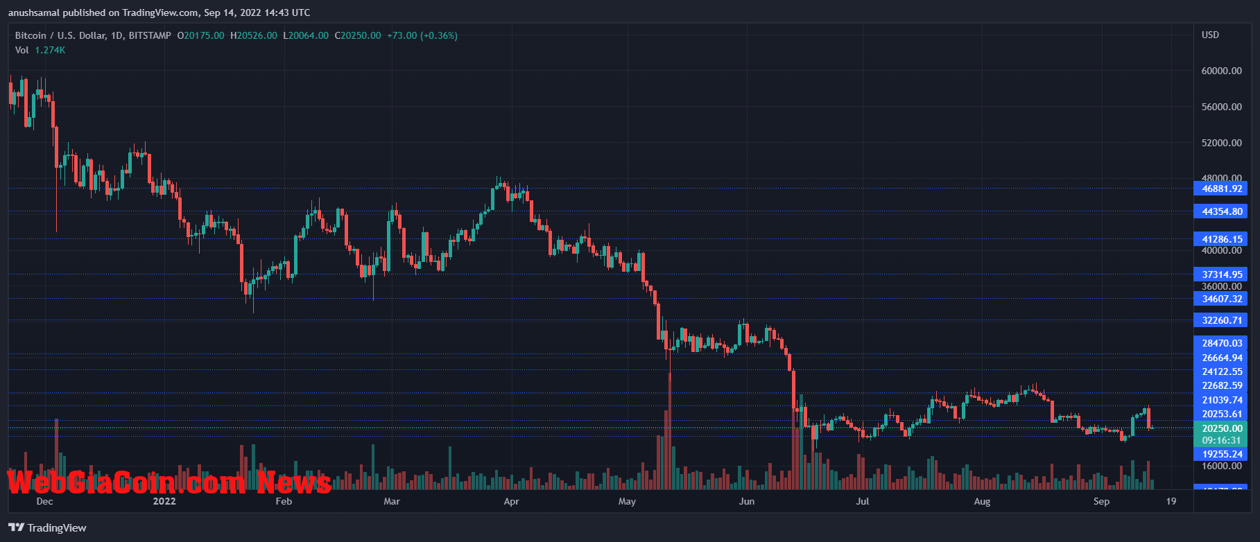 Bitcoin Price