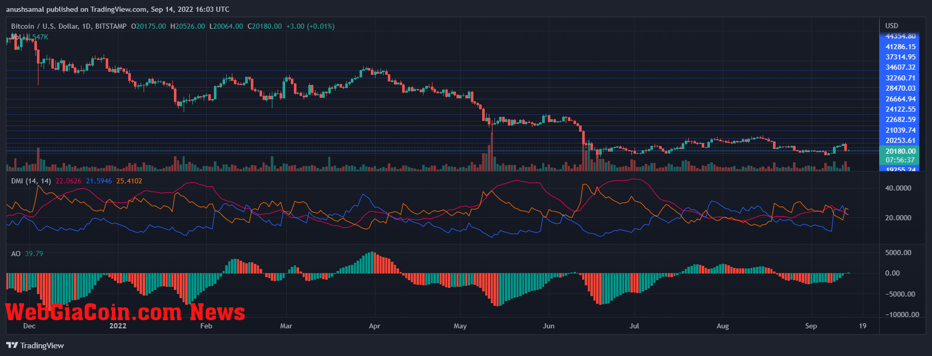 Bitcoin Price