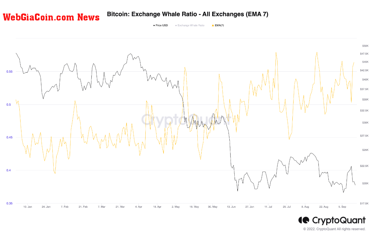 Bitcoin Exchange Whale Ratio