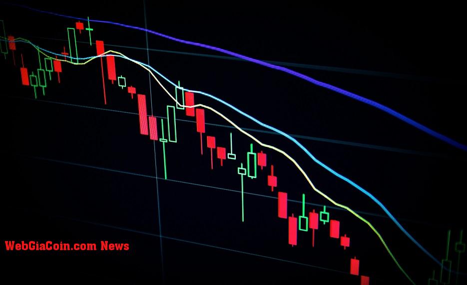 Số liệu thống kê hàng tháng của Bitcoin: Cơ sở chi phí, Bộ giữ dài hạn và đáy theo chu kỳ