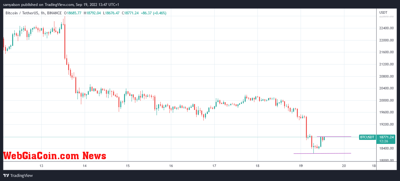 Bitcoin hourly chart